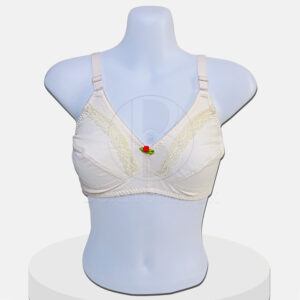 Stylo Bold Embroidered-bra